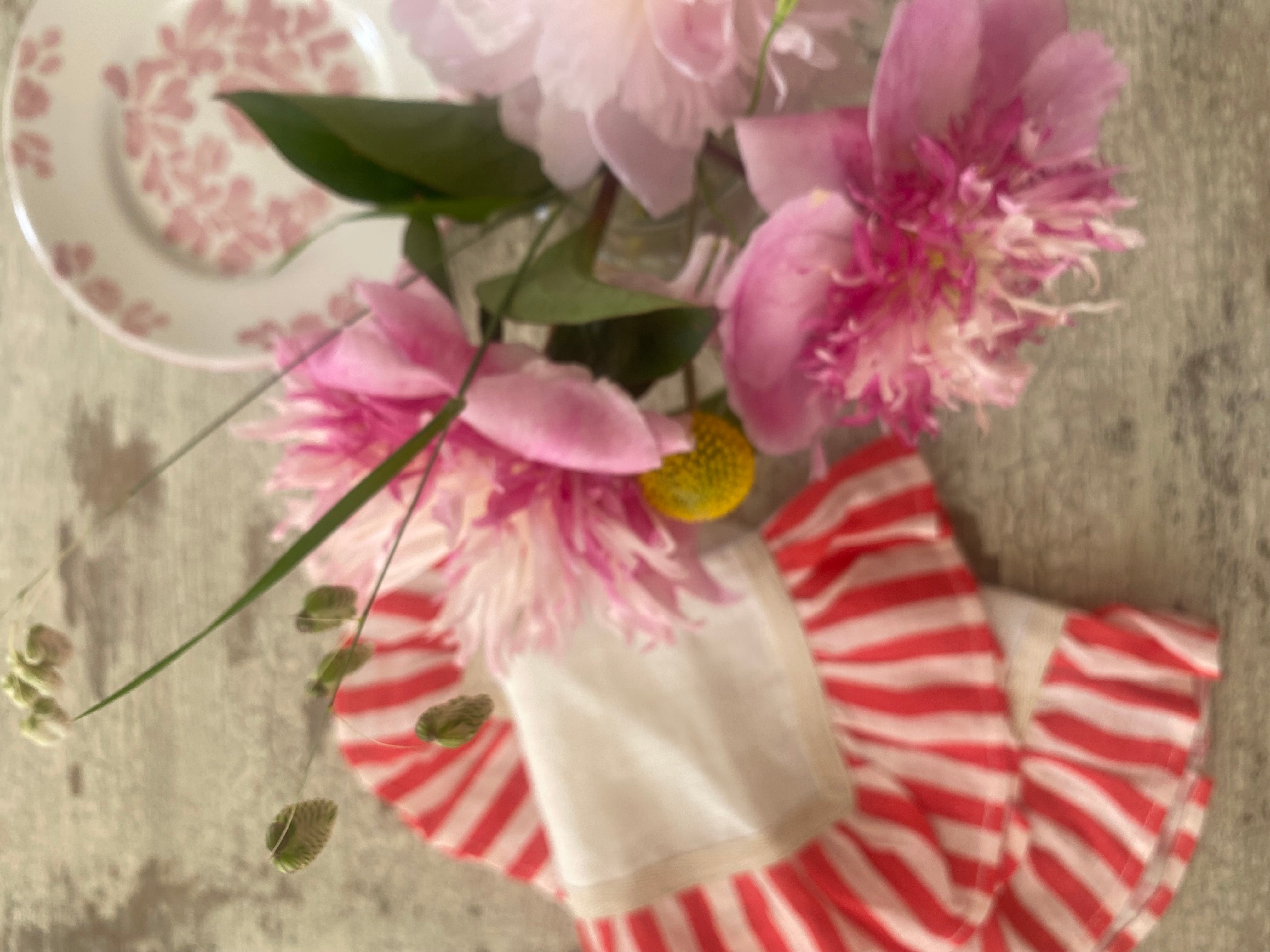 Cherry Red Stripe Napkins, Amuse La Bouche