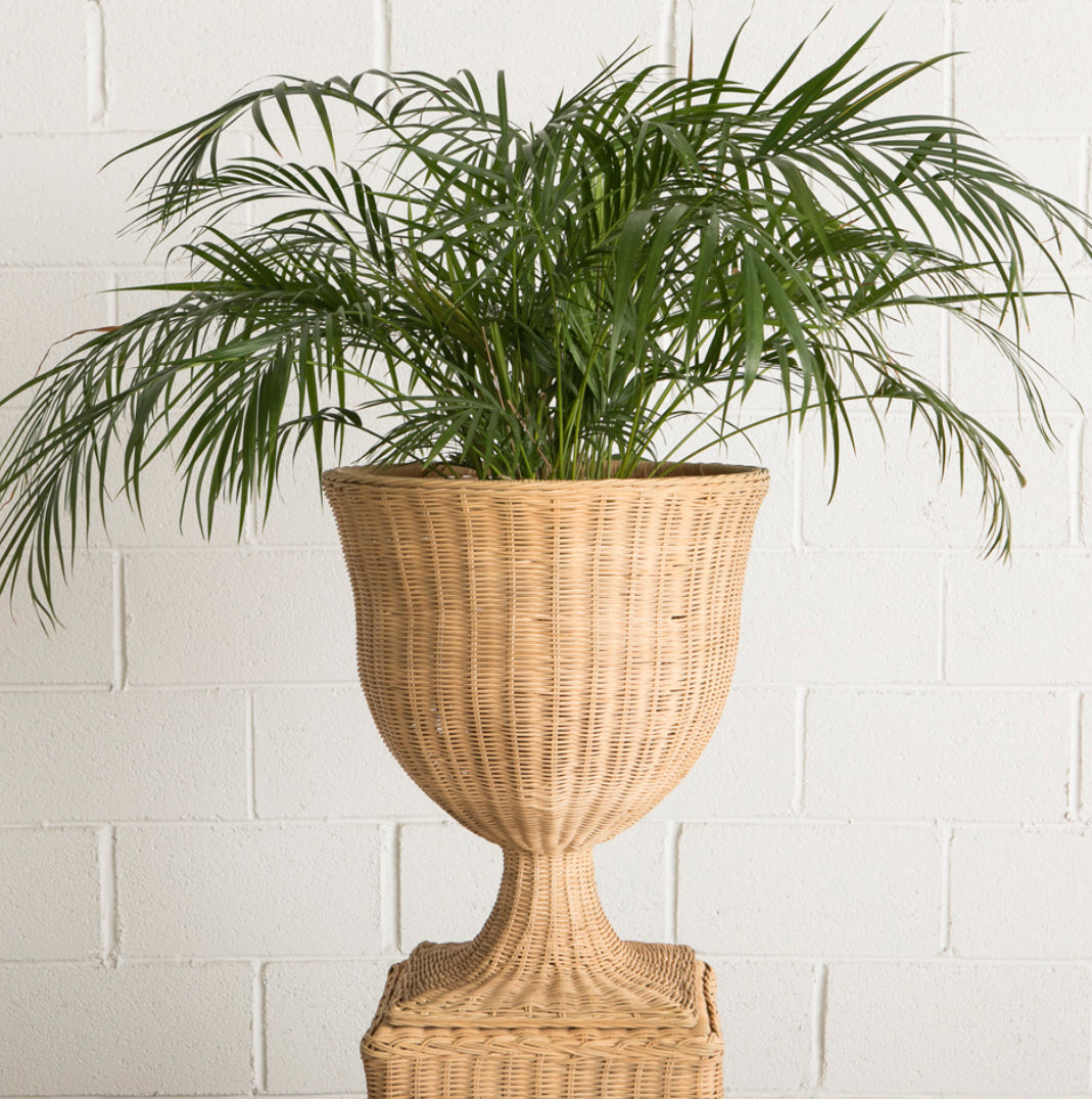 Rattan Urn on Pedestal - Amber + Willow
