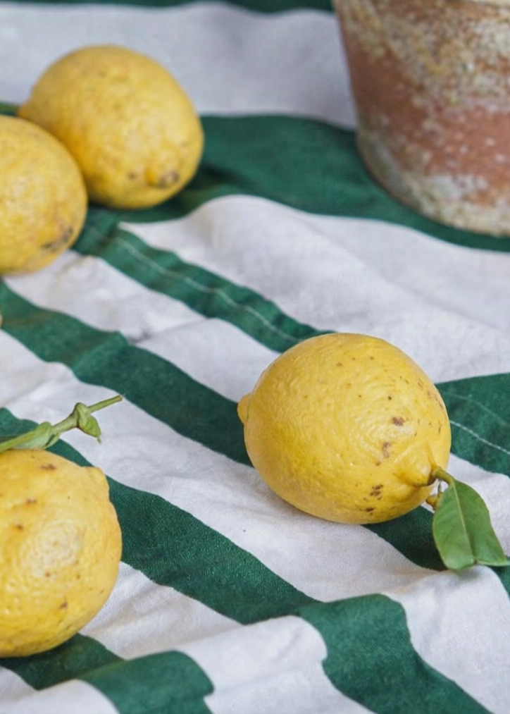 Lemons on a light blue and green striped table cloth with a vintage terracotta pot in background