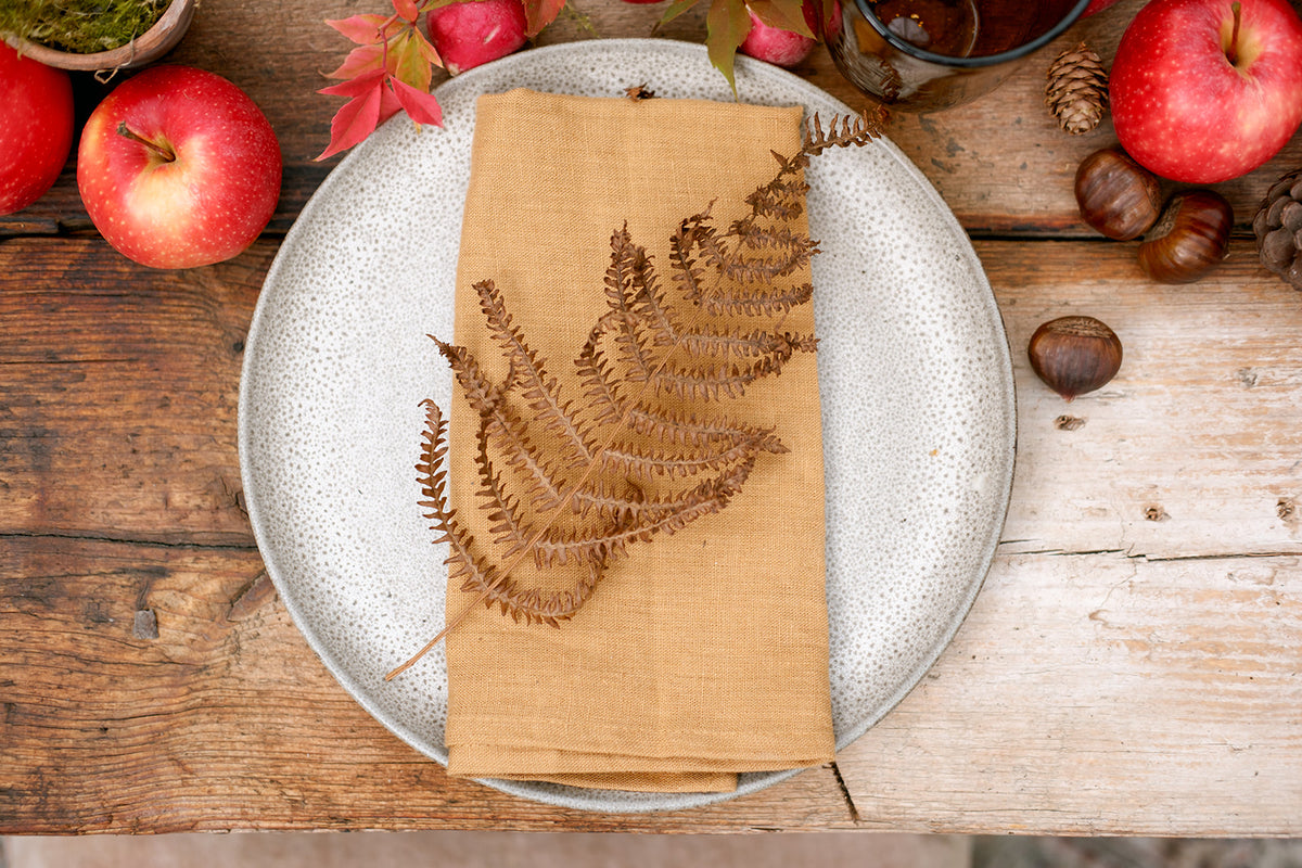 Autumnal place setting with grey plate on rustic wood plank table with tan coloured linen napkin with bracken leaf on top with red apples, radishes, conkers and pinecones on the table