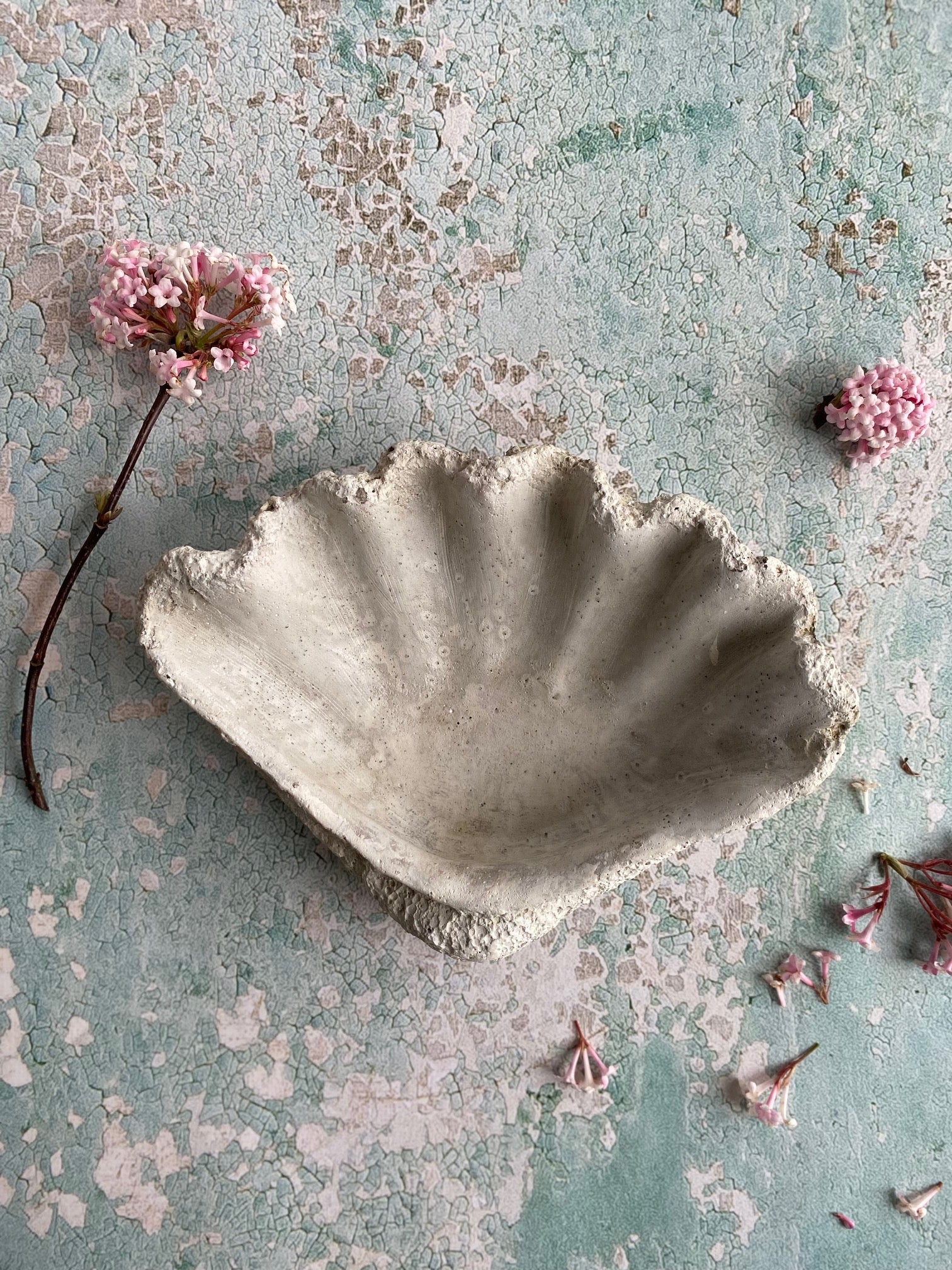 Concrete shell dish on a textured surface with pink flowers