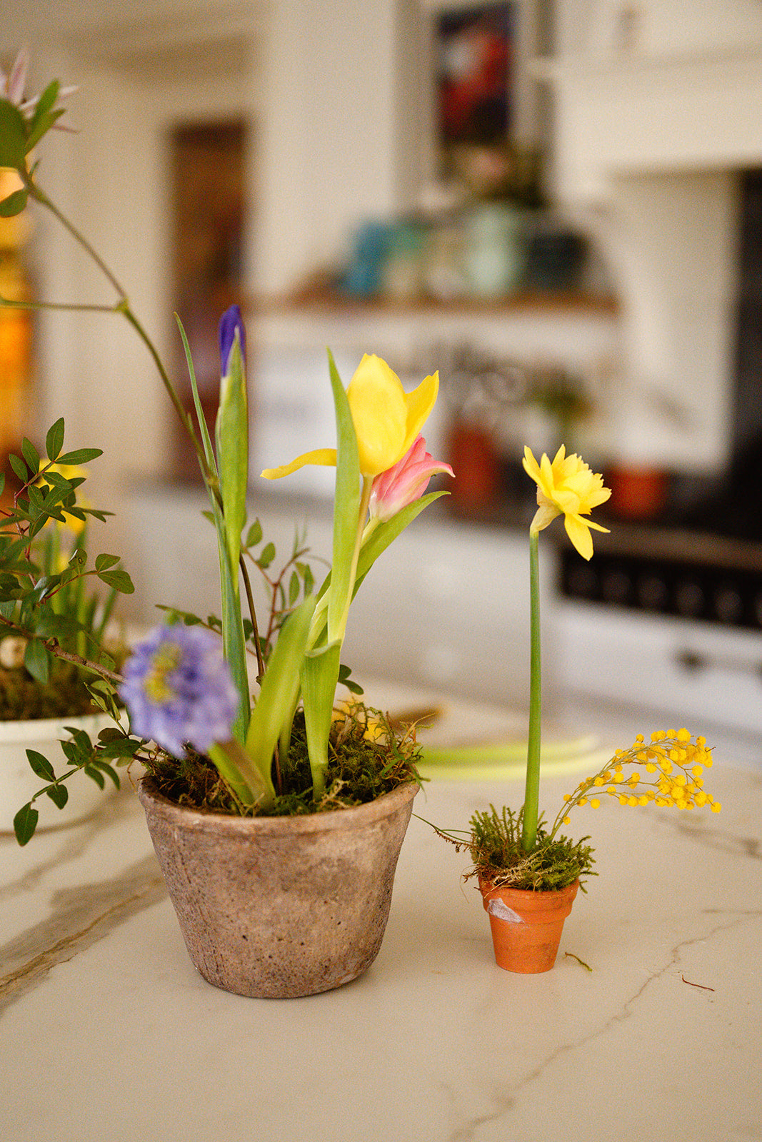 Aged pot and small vintage pot with spring flowers in a country kitchen