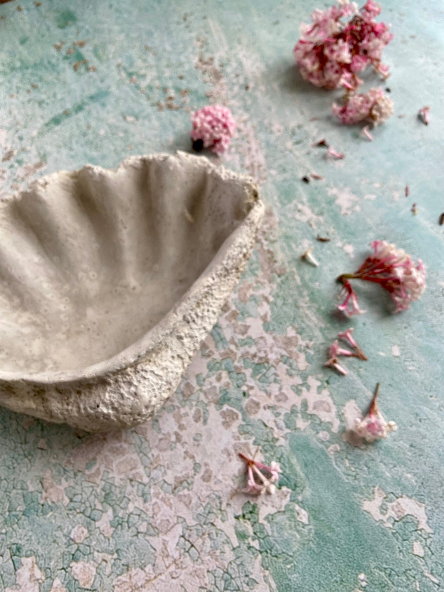 cement shell bowl