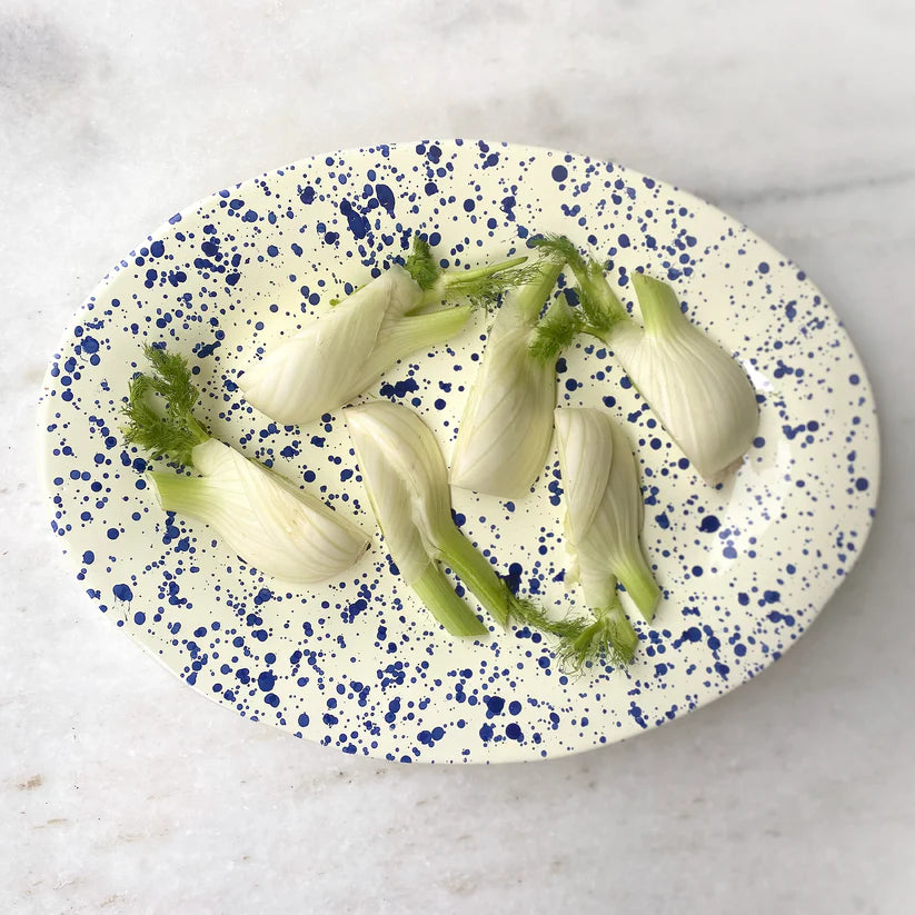 Overhead shot of italian ceramic blue splatter with spring onion on white background