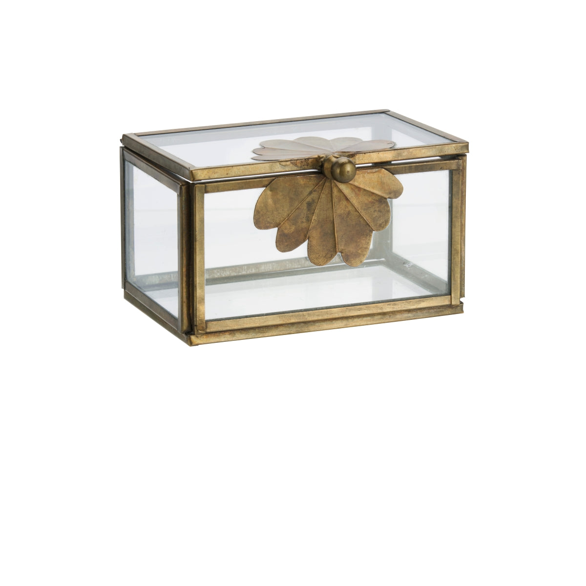 Aged Brass Glass Box - Amber + Willow