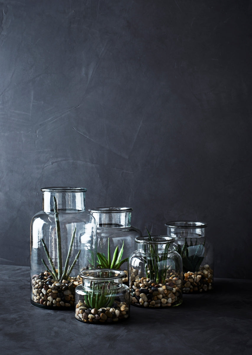 Glass Bell Jar Vase