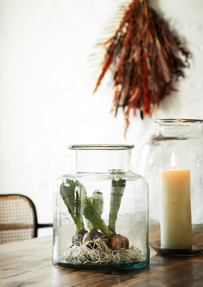 Glass Bell Jar Vase - Amber + Willow