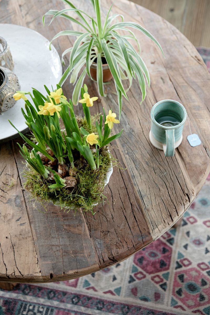 Overhead view of a rustic round coffee table on a vintage rug with green stoneware mug, bowl of daffodils and green plant
