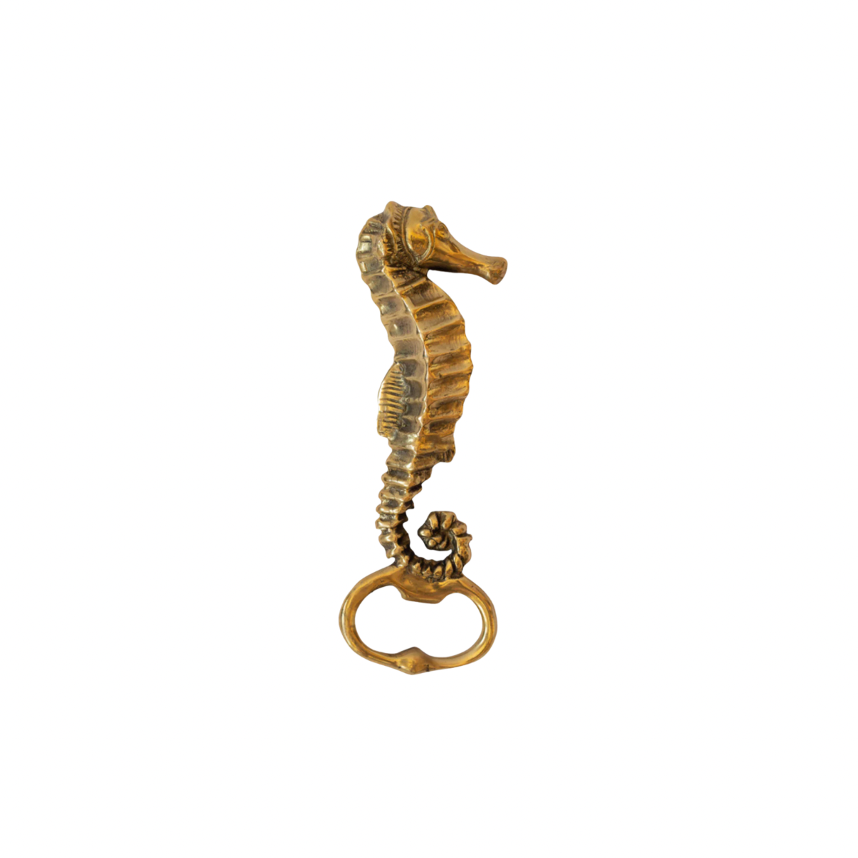 Bronze seahorse bottle opener on a white background