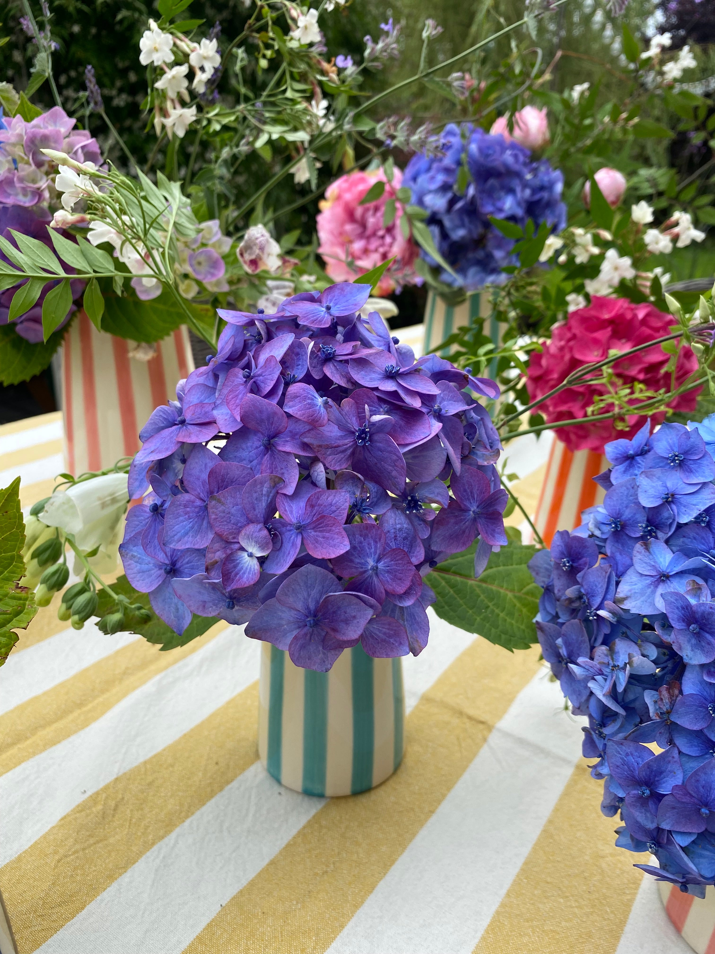 Mint striped jug styled outdoors among other striped jugs
