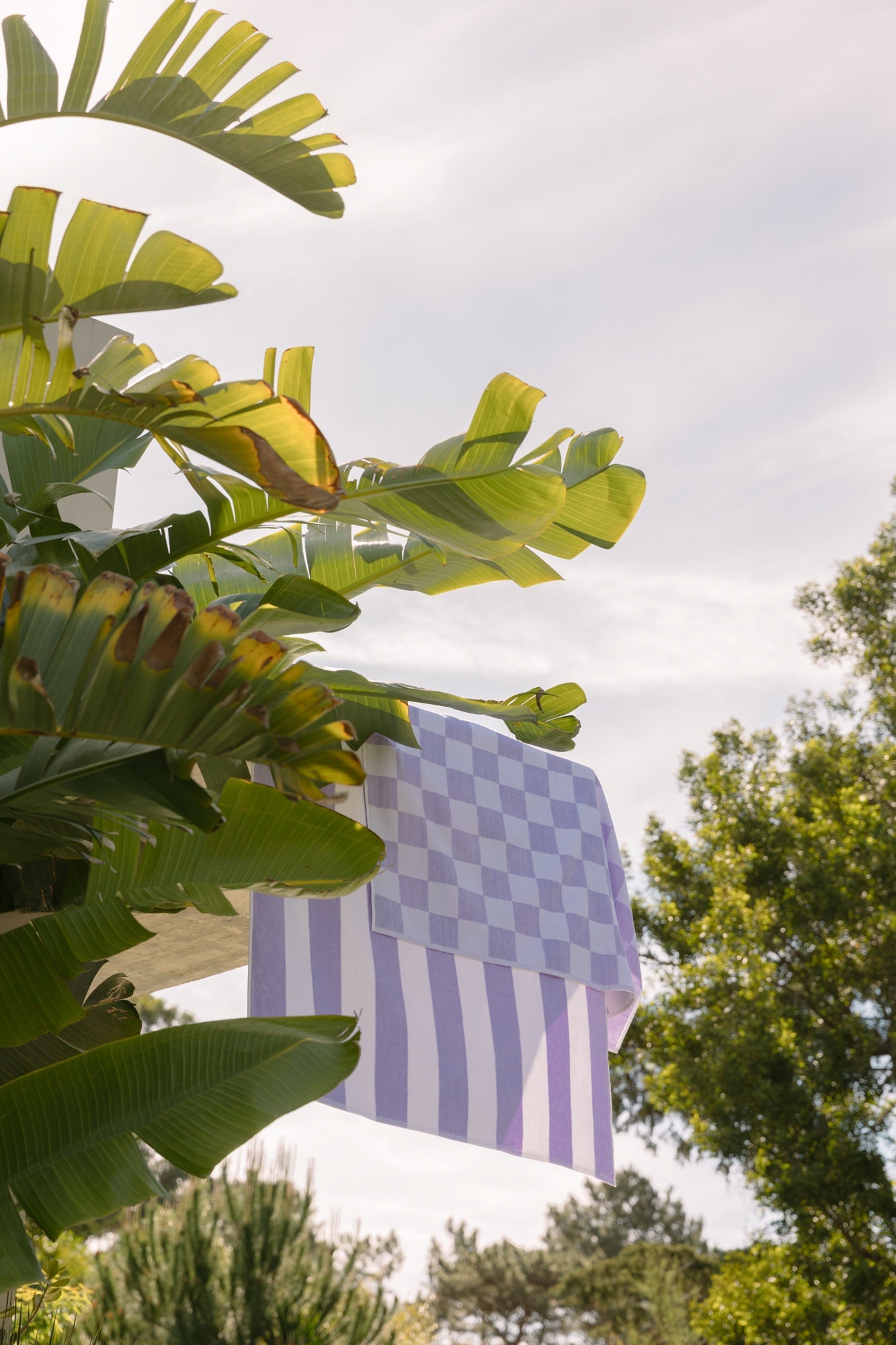 Retro striped and chequered beach towel in lavender, velour cotton draped over balcony among palm trees