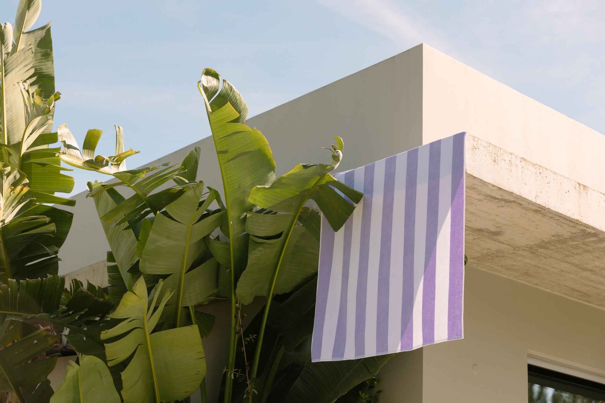 Lavender velour retro striped beach towel hanging from modern apartment balcony among palm trees in sunny setting
