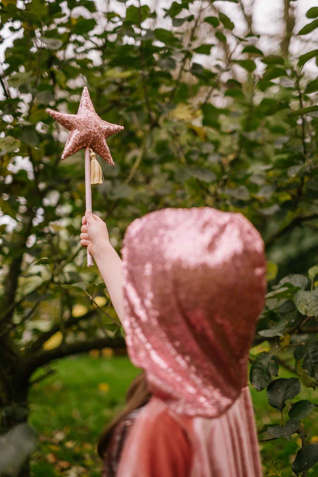 pink velvet magic cape