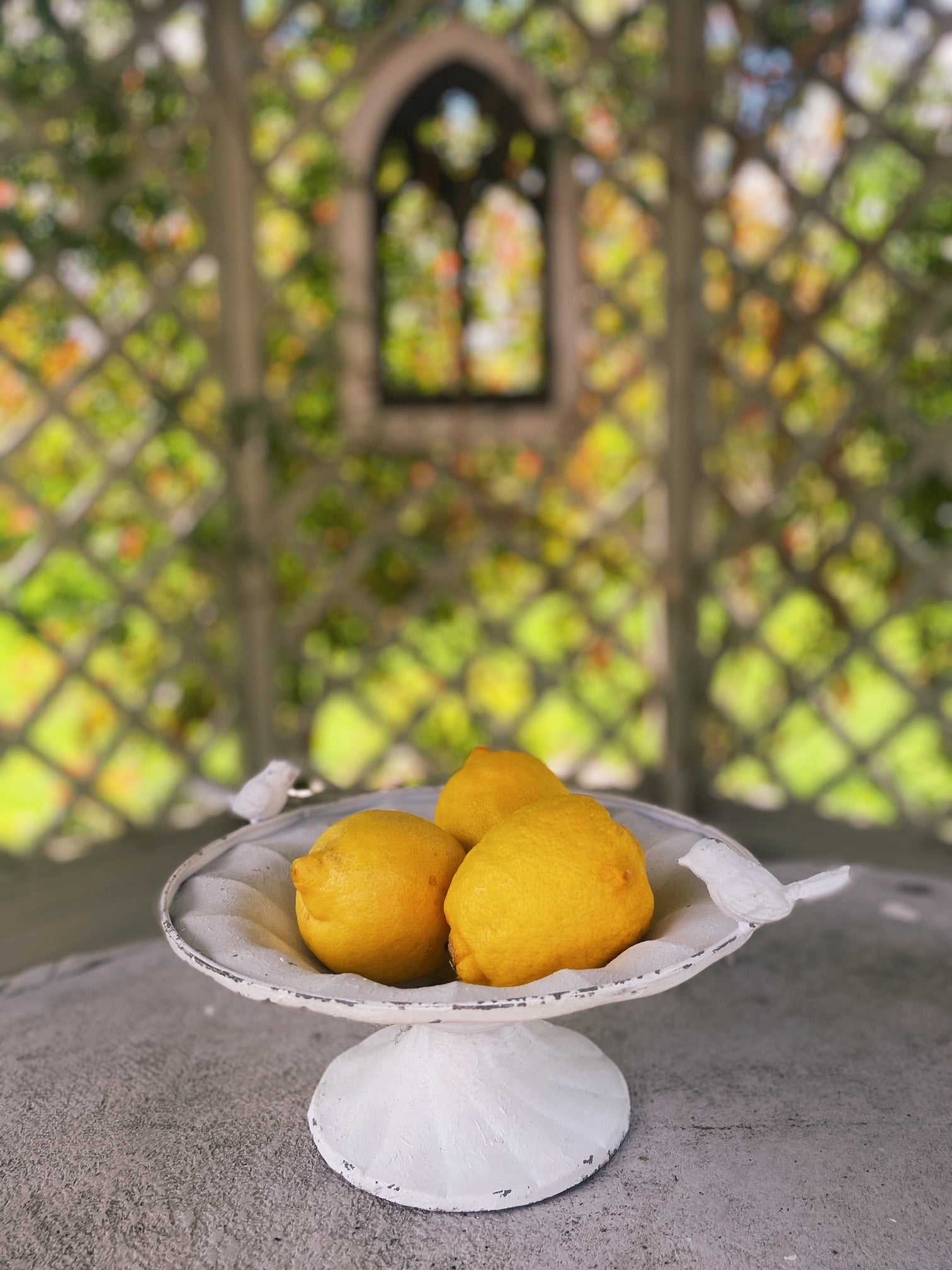 Distressed white metal bird bath at Amber + WIllow