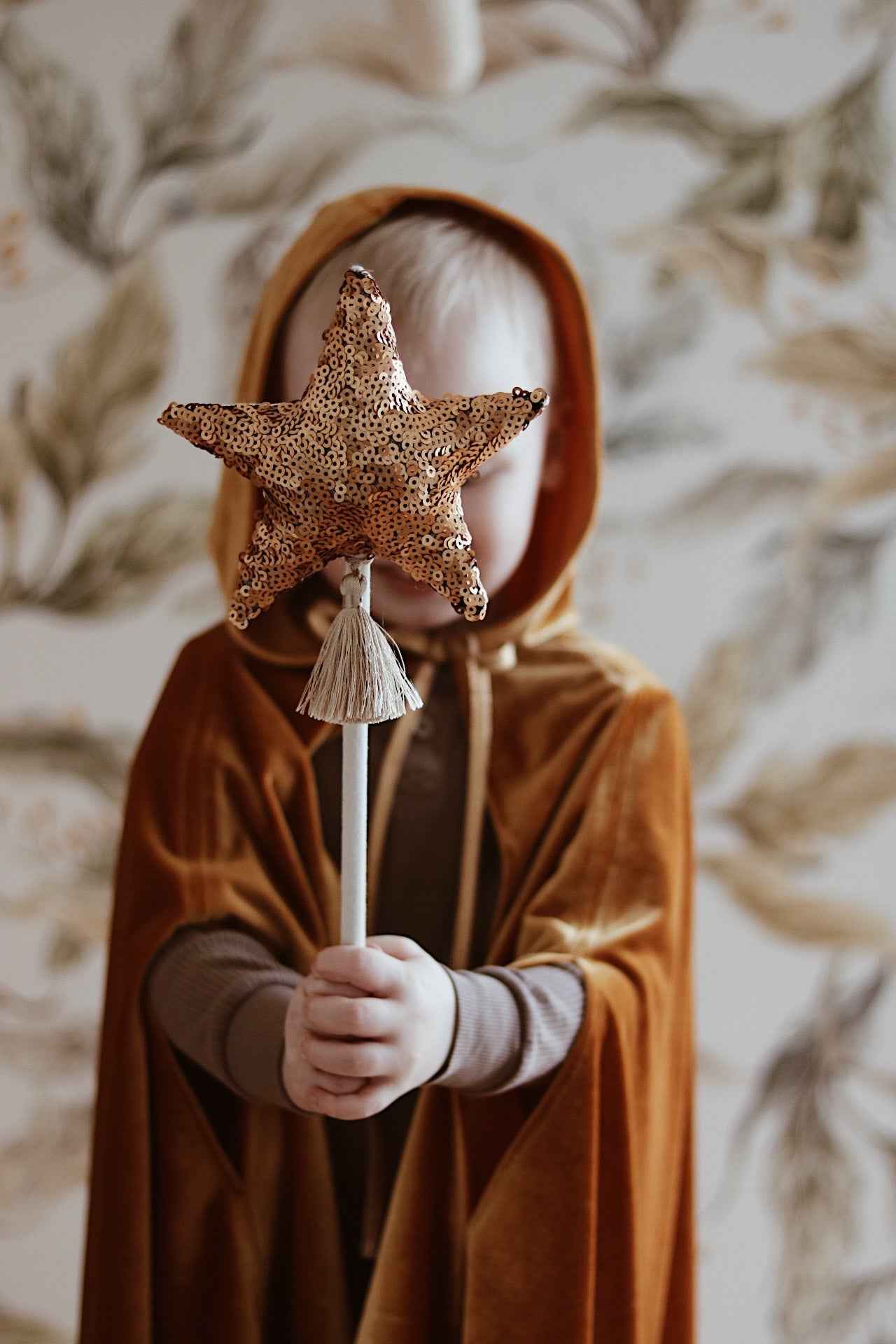 gold velvet magic cape