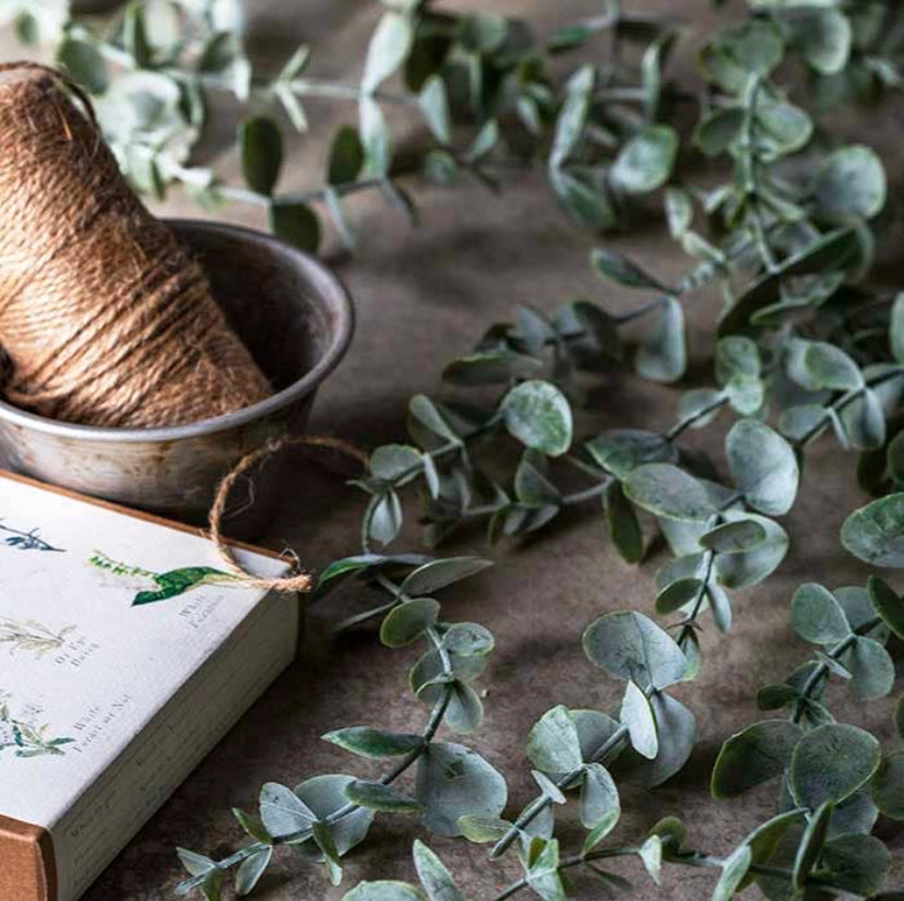 Abigail Ahern trailing eucalyptus stem