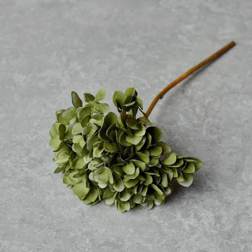 Abigail ahern olive hydrangea stem