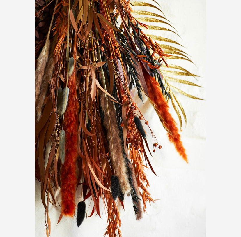 Dried Orange Lagarus Ovatus Bundle