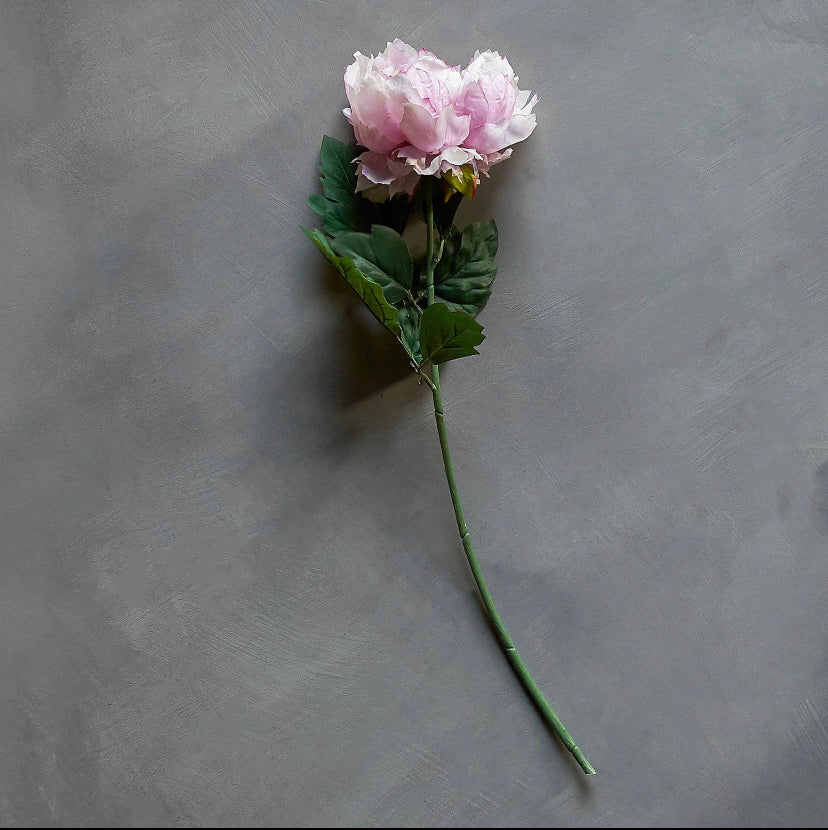 Abigail Ahern peony stem