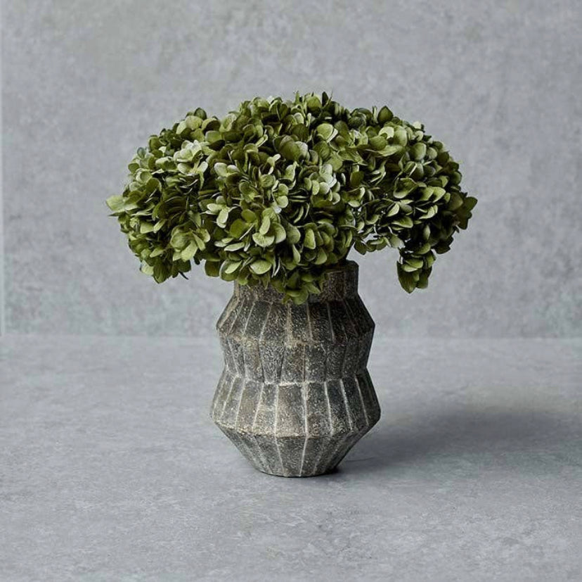 Abigail ahern olive hydrangea stem