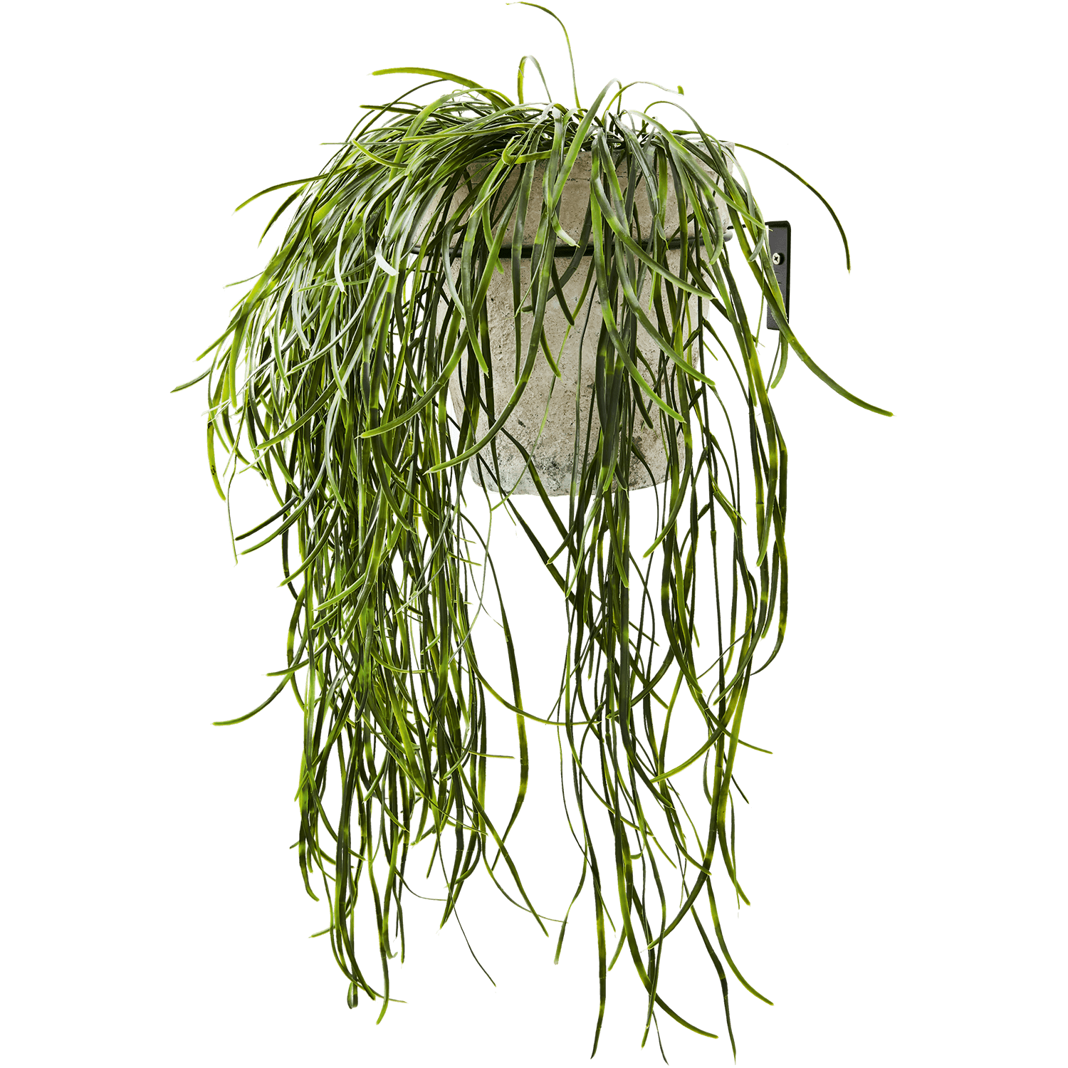 Metal pot hanger with plant