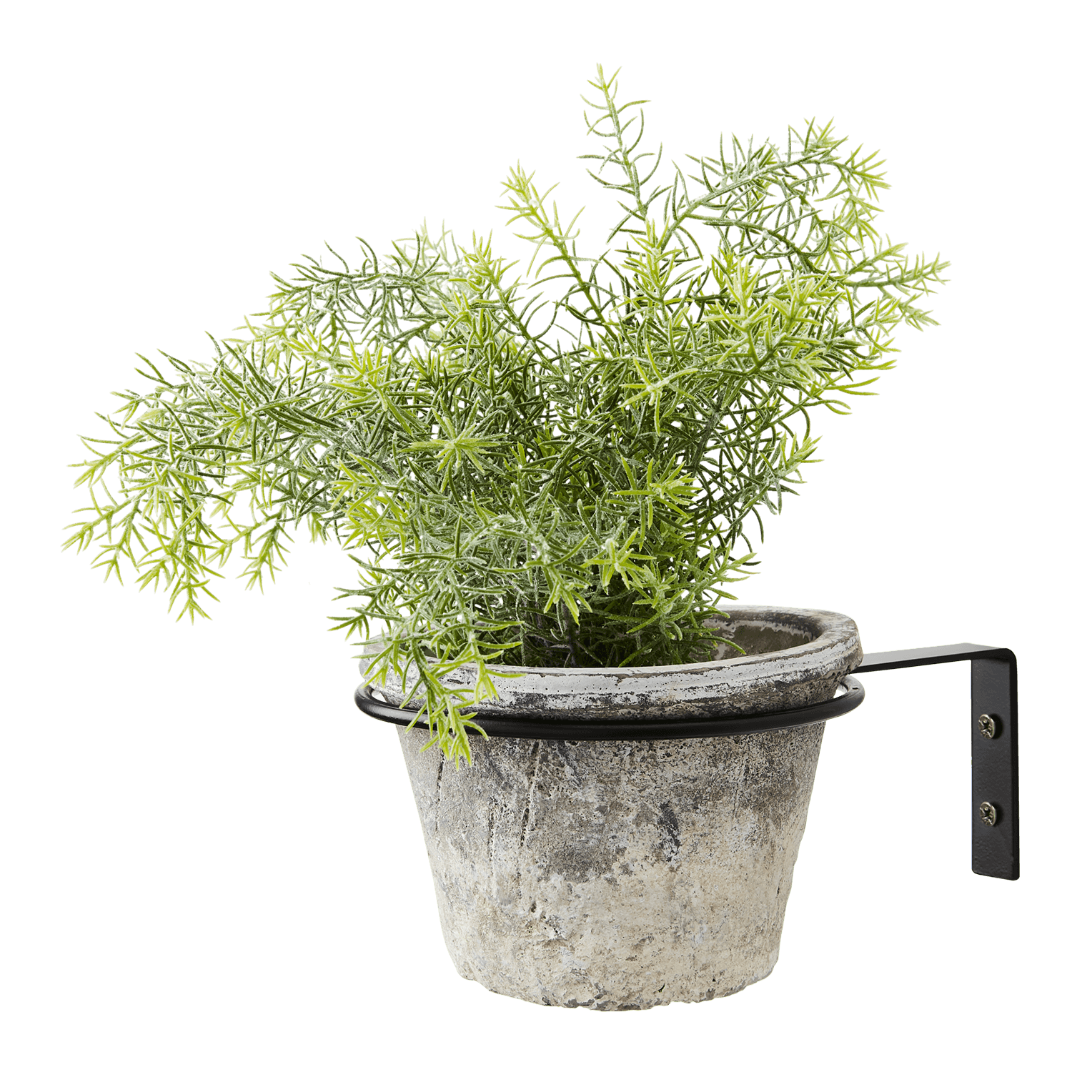 black metal pot hanger with grey potted green plant on transparent background