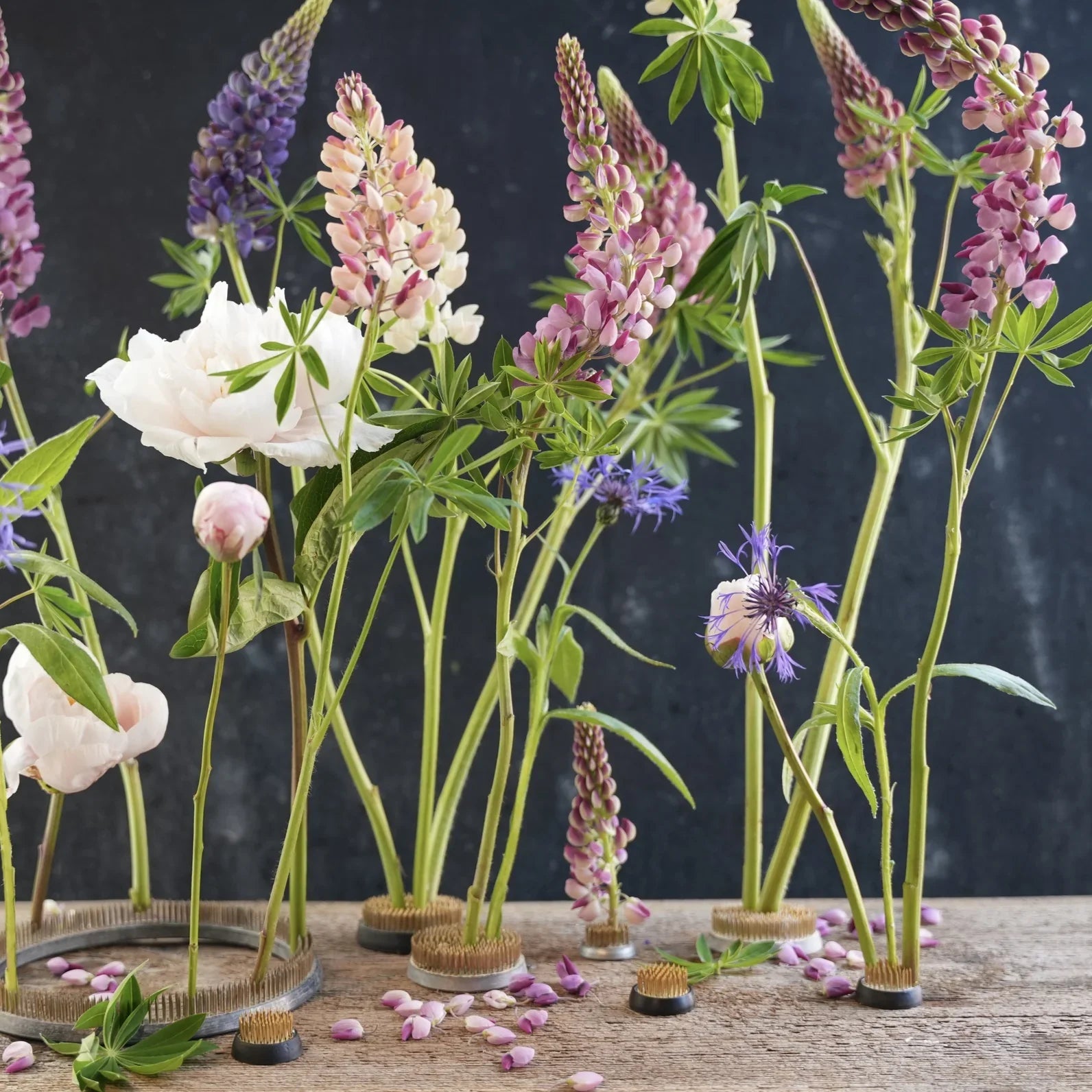 Flower frogs holding colourful country flowers on wooden surface