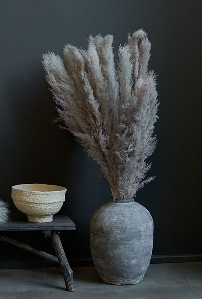 Tall Abigail Ahern Pampas Grass Bunch