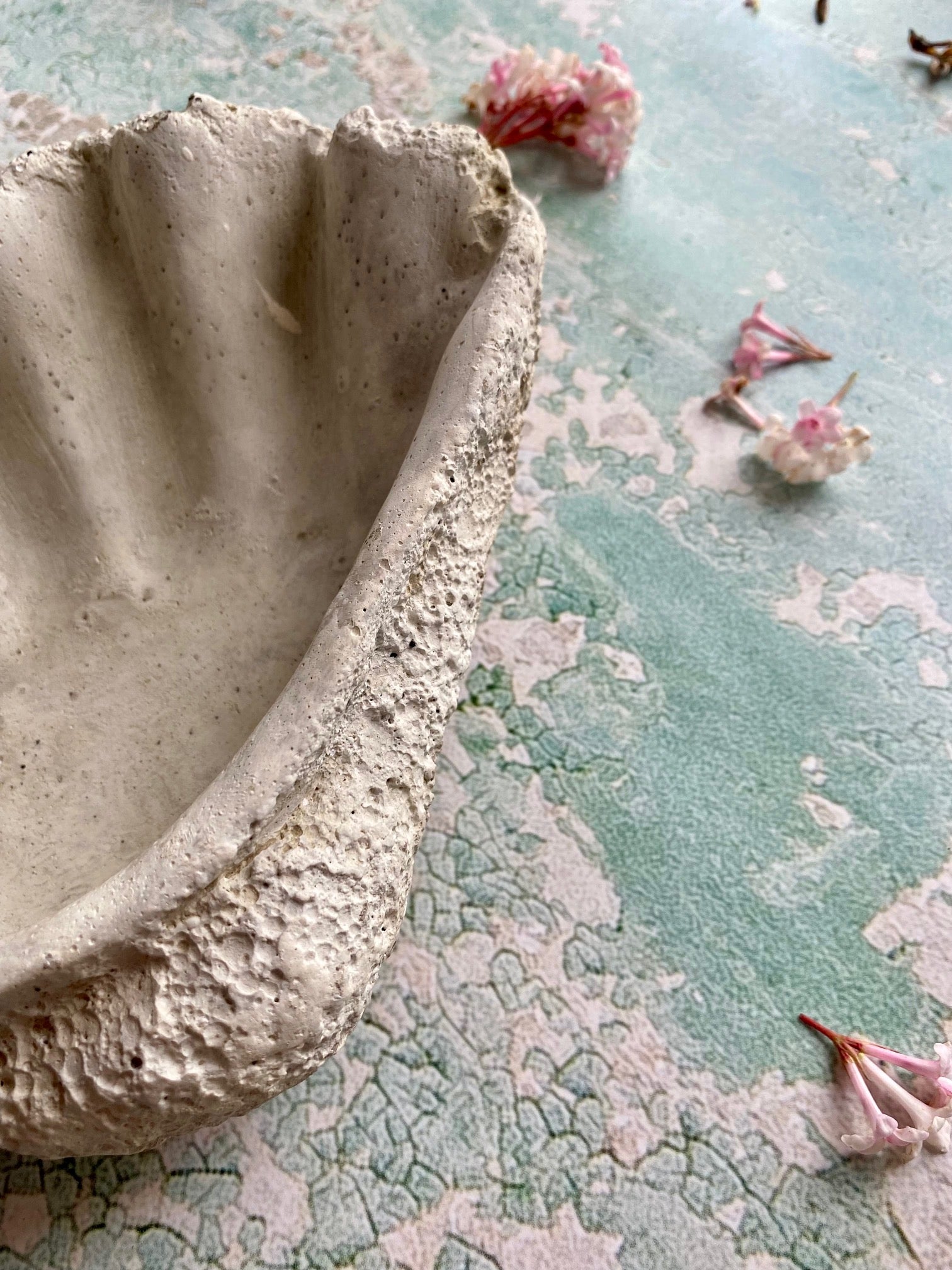Detail of rustic concrete shell bowl on a blue textured surface with cherry blossoms