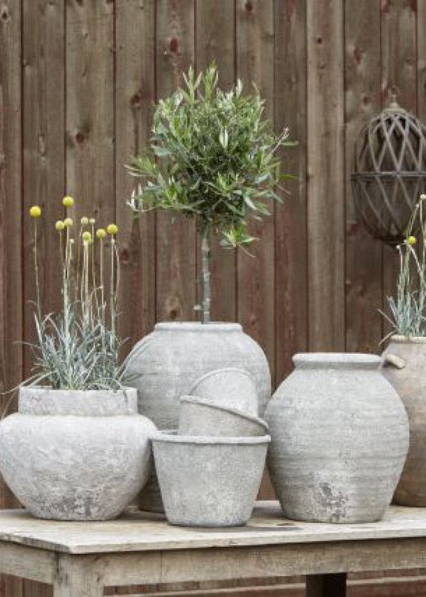 Grey vessels and pots with yellow and green plants on a wooden table against a dark wood fence with hanging cage lanterns 
