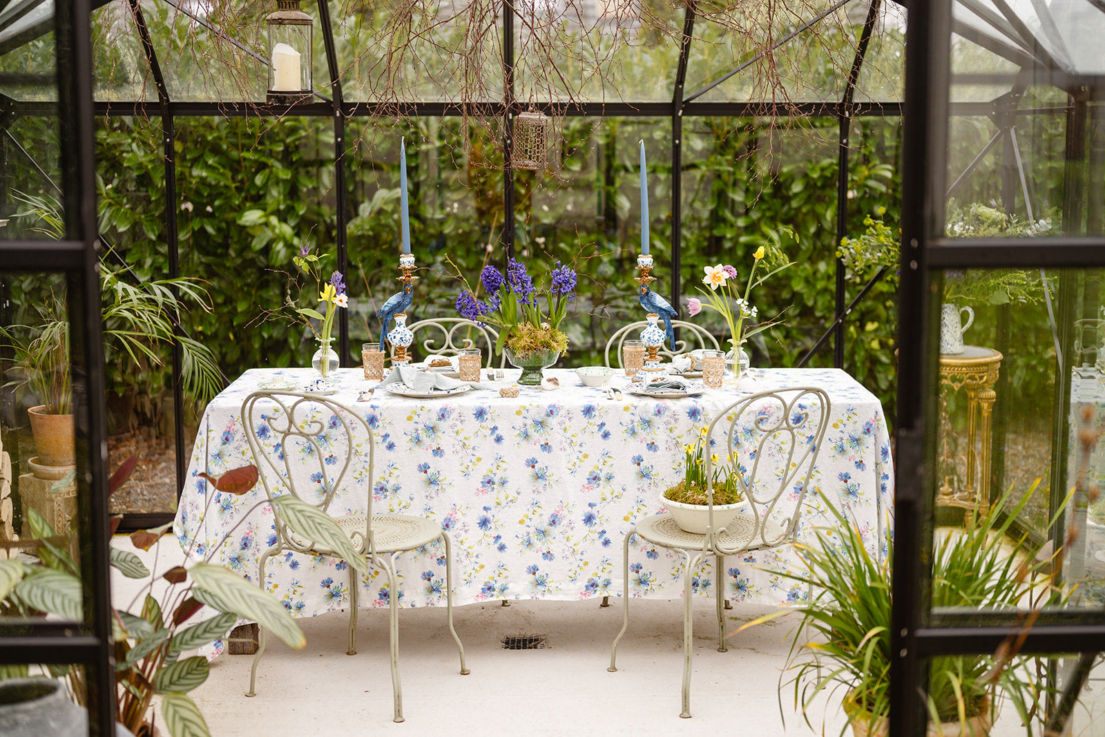 Dining table set with floral tablecloth and chairs in a greenhouse setting