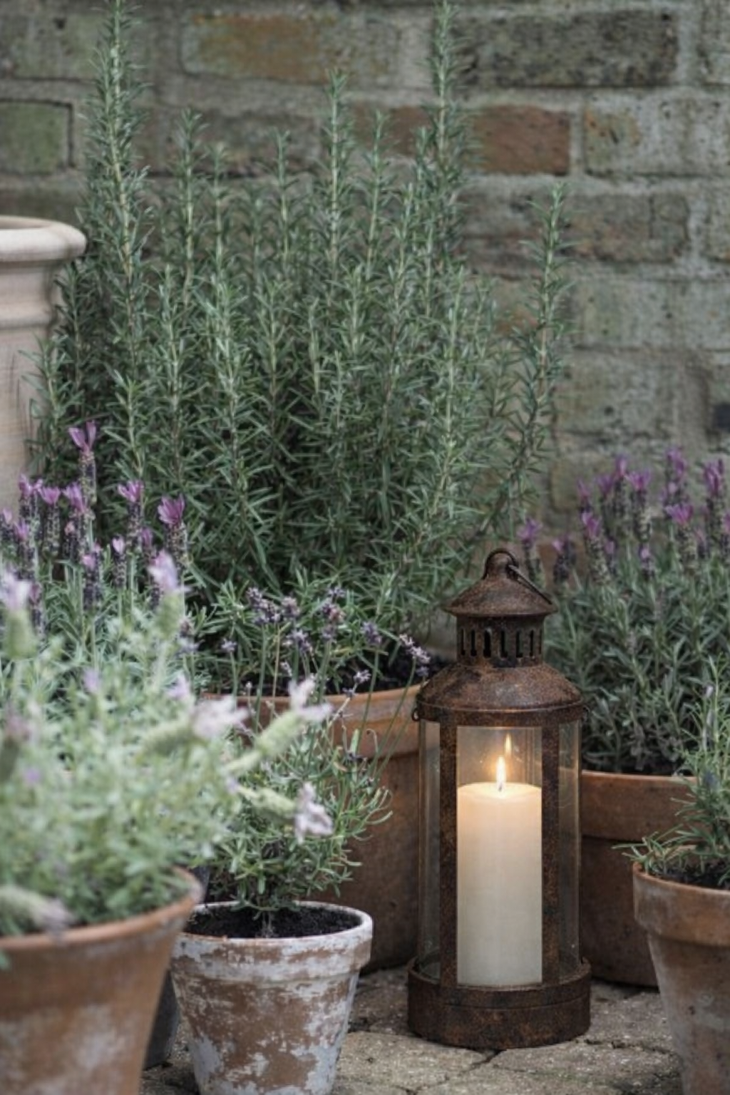 Potted plants with a lit candle in a rust lantern against an old stone wall.