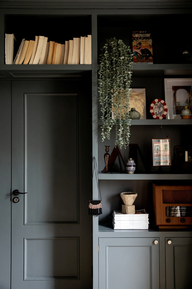 Trailing Eucalyptus Stem