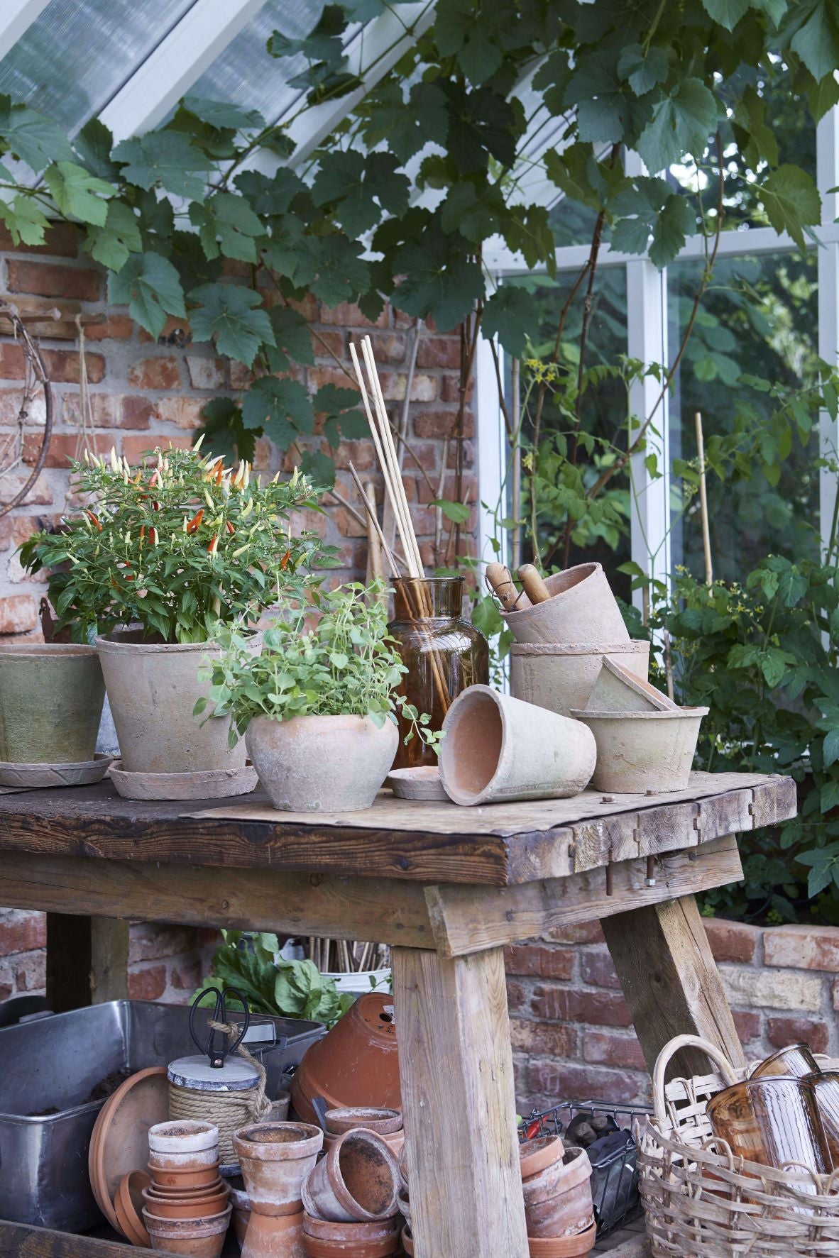 aged terracotta pot with saucer