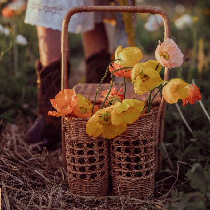Lovers' picnic basket