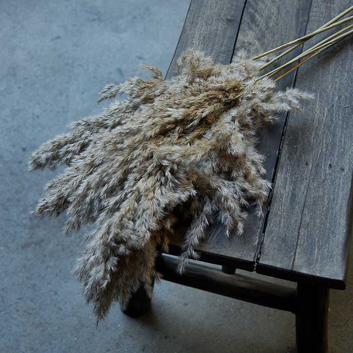 Abigail Ahern reed grass bunch