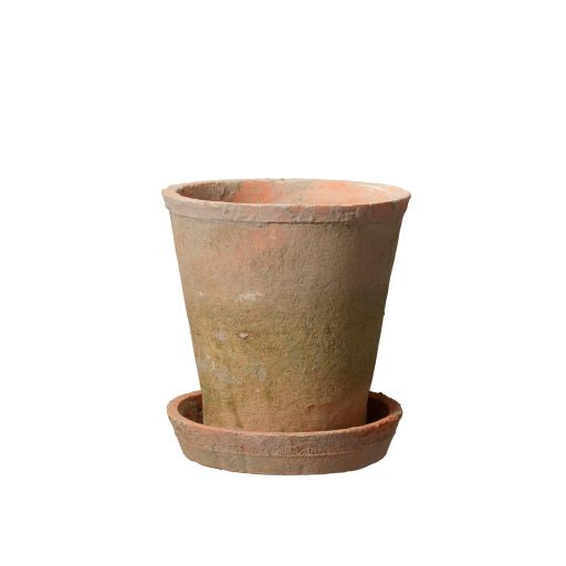 aged terracotta pot with saucer