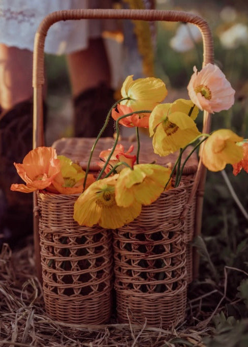 Rattan picnic basket with orange icelandic poppies inside